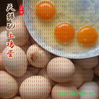 供应中药鸡蛋，全国**供应商