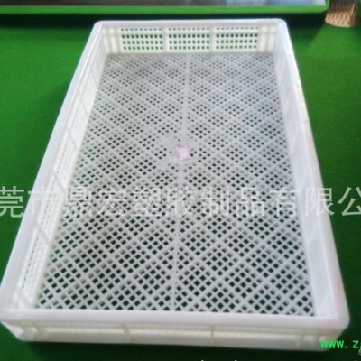 云南文山中药材烘烤托盘 塑料白色网格单冻盘 730*430*