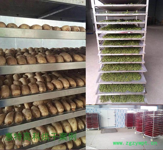 广州惠特中药材类烘干机 空气能热泵烘干机 广州惠特中药材类烘干机 空气能热泵烘干机