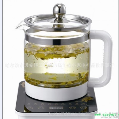 厂家专业****2L中药养生保健壶煎药壶 汇鑫养生壶