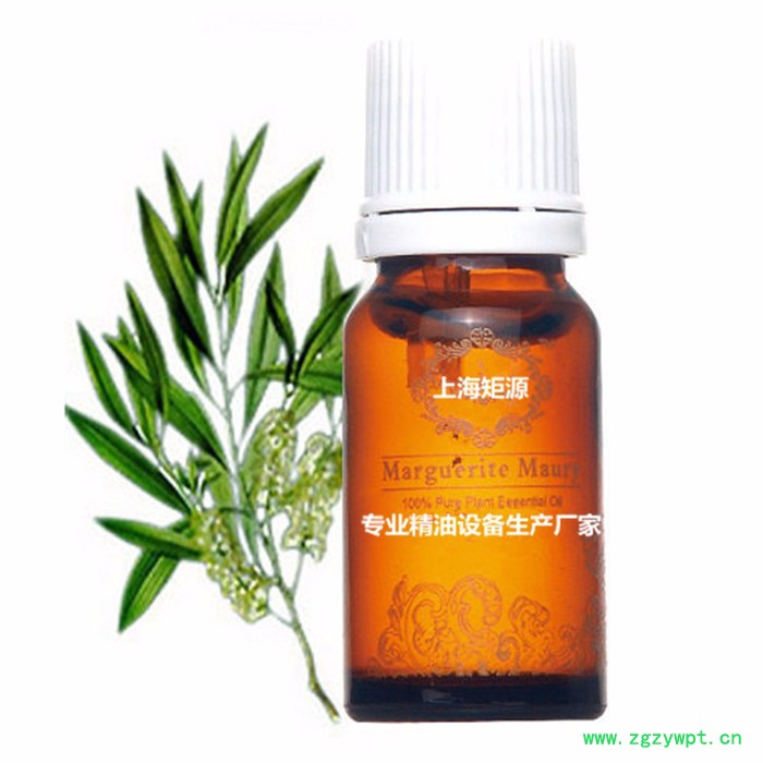 矩源 超声波中药提取设备  纯露收集器  中药提取器 超声波利用空化作用加快提取不破坏有效成分 实验室研究院推荐产品 矩源 超声波中药提取设备  纯露收集器  中药提取器 超声波利用空化作用加快提取不破坏有效成分 实验室研究院推荐产品