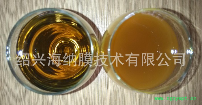 中药提取液过滤设备 中药过滤 药液澄清过滤设备