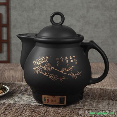 灿诚奇膳全自动中药壶、养生壶、煎药壶、熬药罐、粥煲、电炖锅电热壶、