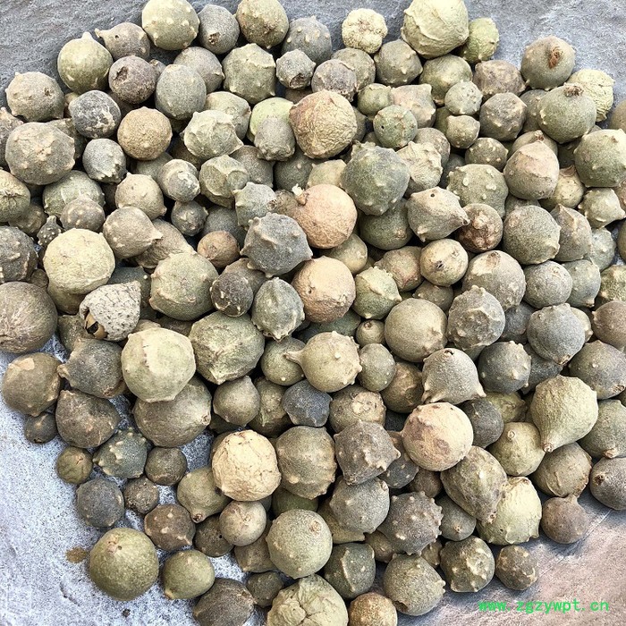 **中药材批发没食子 冷背中药材墨石子 没石子量大从优干净无杂 **中药材批发没食子 冷背中药材墨石子 没石子量大从优干净无杂