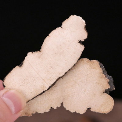 中药材猪苓批发各种规格猪苓片承接大货散装无硫不加重猪苓片