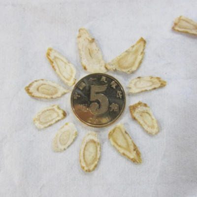 西洋参片 长白山人参含片 花旗参切片中丁腿节片 参茶味浓效果好