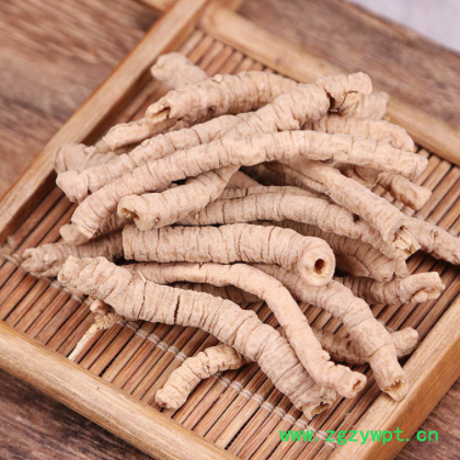 中药材批发 抽芯率高 远志 远志肉 新货 品种齐全 承接订单