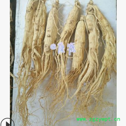 实体店批发生晒参 白人参白参 长白山生晒参优质人参
