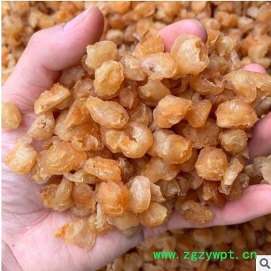 桂圆肉 中药材批发桂圆肉大灯笼无核桂圆肉 龙眼干肉厚量大价优