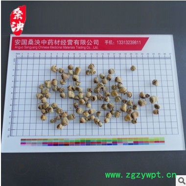 中药材批发 中药材覆盆子 产地货源规格齐全 覆盆子1000g厂家批发
