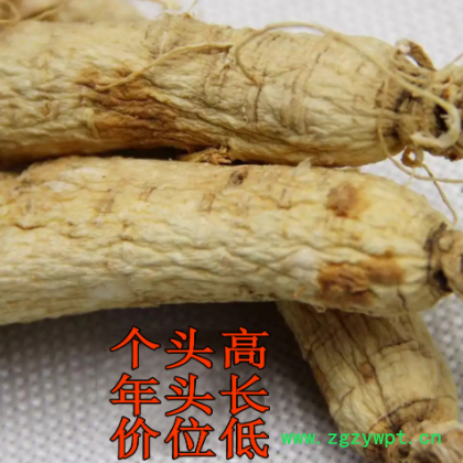 干残参长白山生晒参全须瑕疵白参磕巴参锈参吃货赔钱处理规格齐全