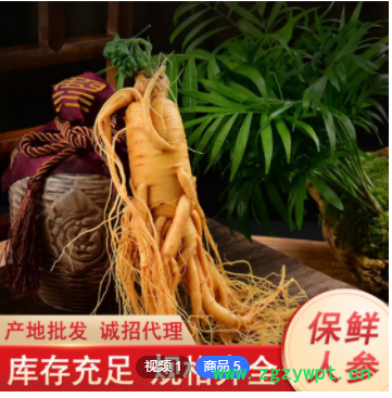保鲜人参长白山整支新鲜人参泡酒参东北特产厂家批发大根人参煲汤