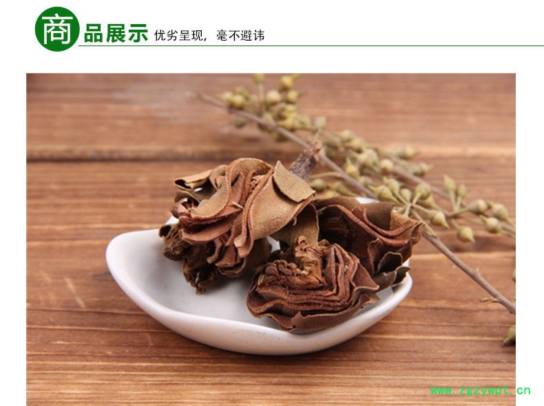 厚朴花3.jpg