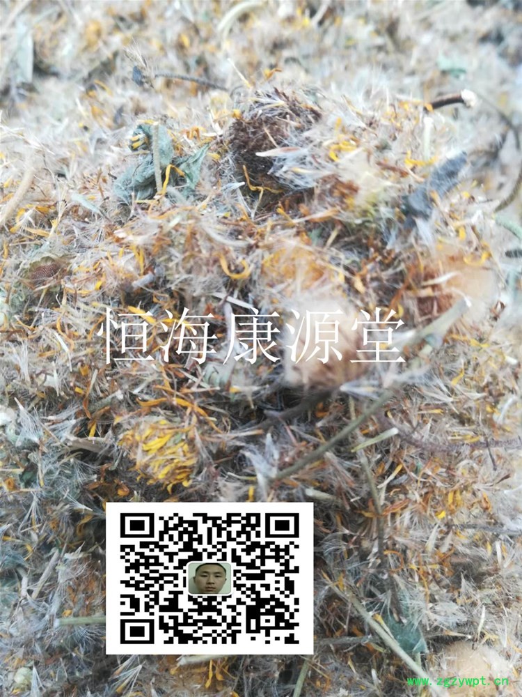 【品 名】 旋复花3_副本.jpg