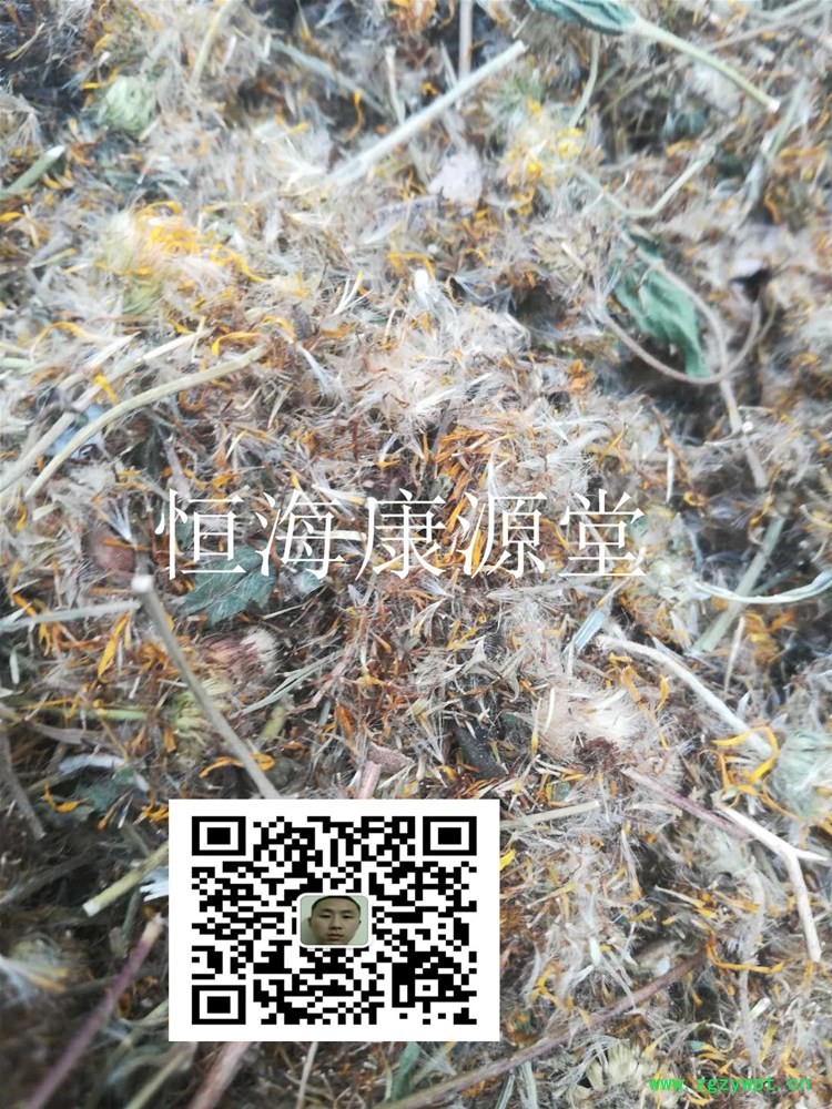 【品 名】 旋复花1_副本.jpg