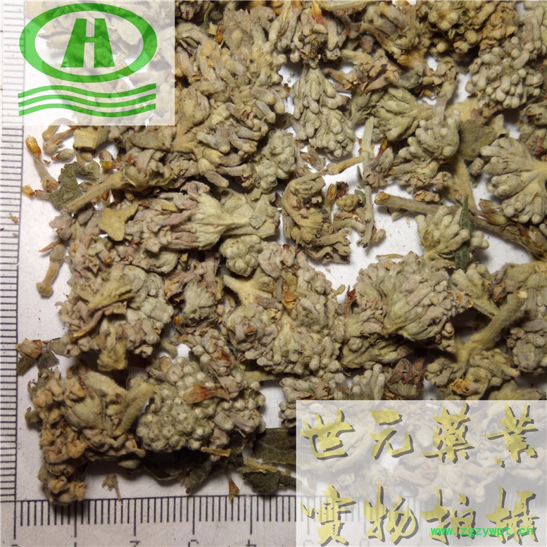 密蒙花15奇~04_副本.jpg