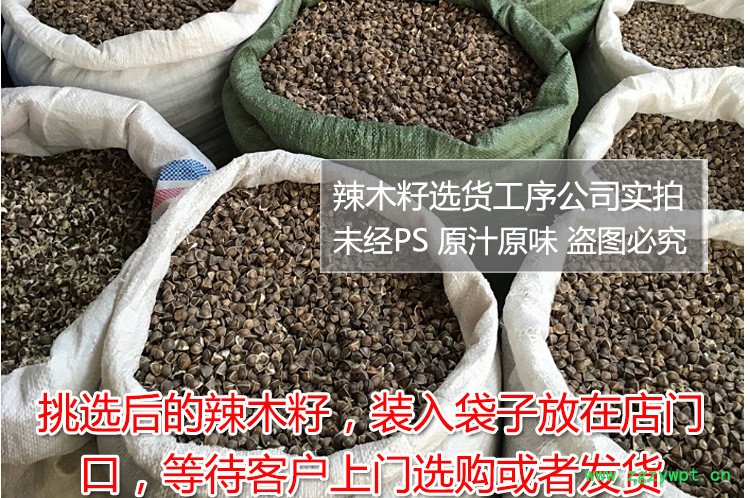 印度辣木籽多钱一斤,正宗印度辣木籽,食同源中药材散装批发