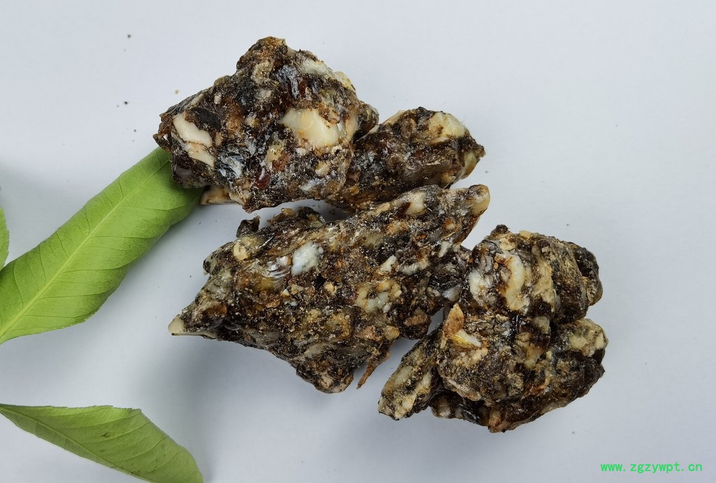 【金仕达进出口】安息香 中药材拙贝罗香 环保树脂 价格优惠 欢迎来电咨询