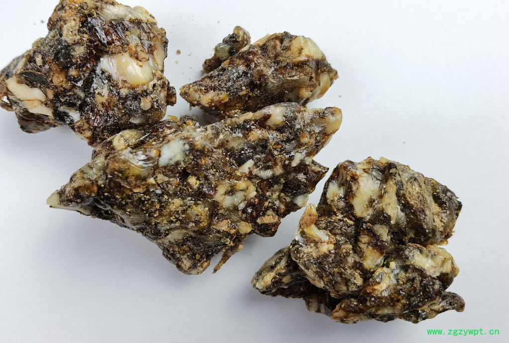 【金仕达进出口】安息香 中药材拙贝罗香 环保树脂 价格优惠 欢迎来电咨询