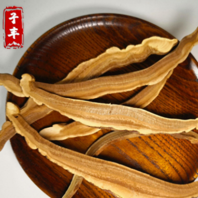 长白山林下野生灵芝 赤芝大片 长白山紫灵芝切片 煲汤泡酒
