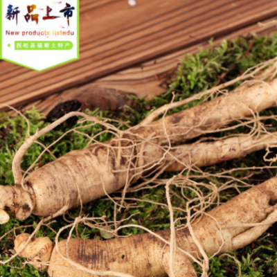 供应东北新鲜西洋参 散装新鲜花旗参刚出土西洋参泡酒500克批发