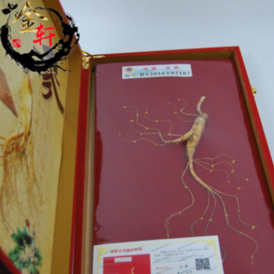 45cm木质礼盒林下参批发人参移山参礼盒装 长白山东北特产