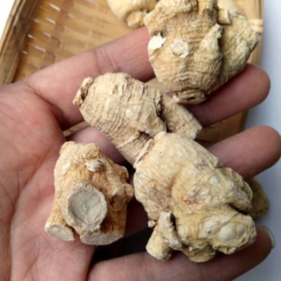 国产西洋参粒头软质长白山花旗短支西洋参个条段切片东北特产批发