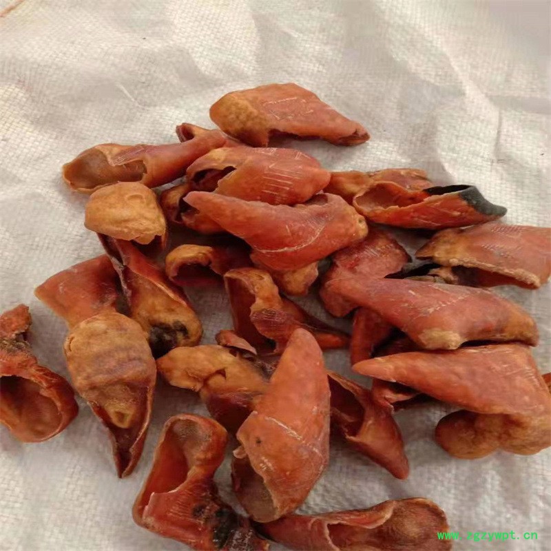 微信图片_20210831124909