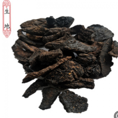 问心药业 供应生地黄 别名 生地 鲜生地 鲜地黄 山菸根原生态批发