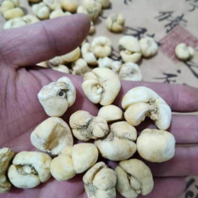 批发中药材 贝母 浙贝 浙贝母 免费打粉浙贝 各种混合粉