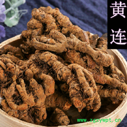 批发中药材 黄连 黄莲 黄连片黄连个 干净无泥沙黄连 免费打粉