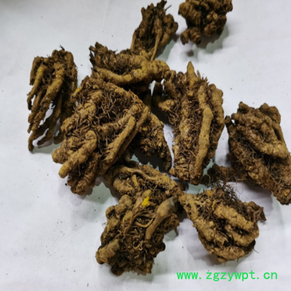 黄连 黄连片 单只黄连 鸡爪黄连 可检验 联系客服可供发票等手续