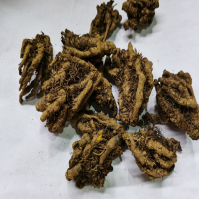 黄连 黄连片 单只黄连 鸡爪黄连 可检验 联系客服可供发票等手续