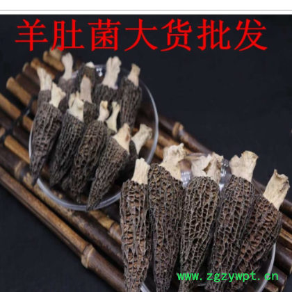 羊肚菌 批发 持检验 联系客服可提供发票等购销手续 1份250克