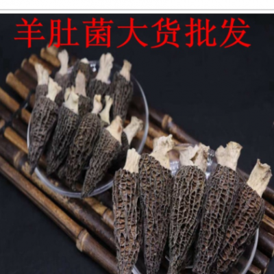 羊肚菌 批发 持检验 联系客服可提供发票等购销手续 1份250克