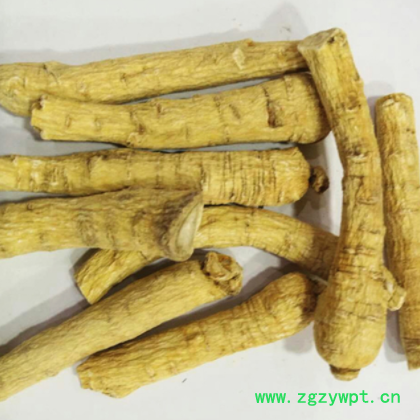 中药材 西洋参 批发 供应散装 西洋参条 产地吉林长白山