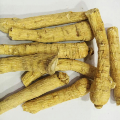 中药材 西洋参 批发 供应散装 西洋参条 产地吉林长白山