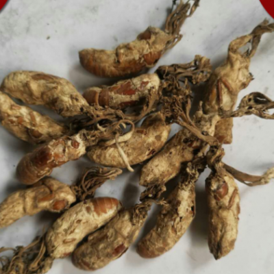 中药材 金蝉花 蝉蛹草 蝉茸 散装批发供应 各种规格