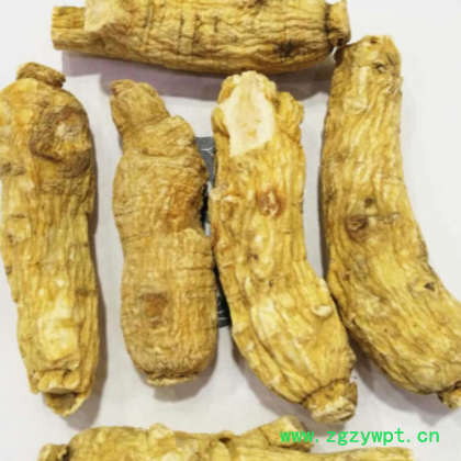 西洋参 花旗参 短枝 亳州中药材批发零售