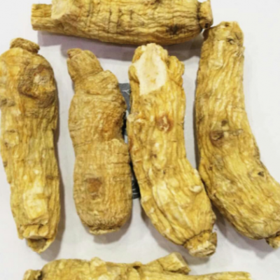 西洋参 花旗参 短枝 亳州中药材批发零售