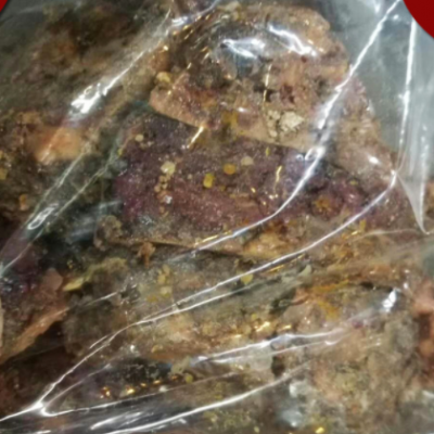 阿魏 新疆臭阿魏 中药材供应 五彩药用 钓鱼诱饵五花阿魏