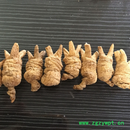 长白山西洋参 小个开叉参类滋补品东北西洋参粒头短粒500g