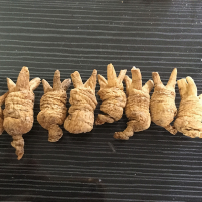 长白山西洋参 小个开叉参类滋补品东北西洋参粒头短粒500g