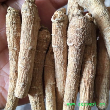 西洋参条 西洋参片批发 一件代发整枝粒头花旗参条切片泡茶煮汤