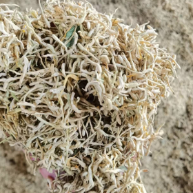 平邑县桦沣中药材种植专业合作社