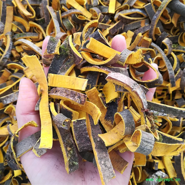 IMG_20171011_085527_副本