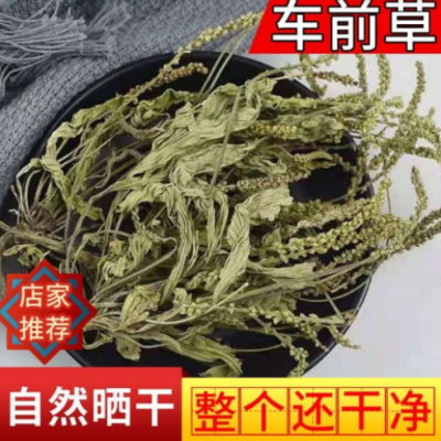 车前草干包邮新鲜晒干新货整颗牛舌菜大袋泡茶