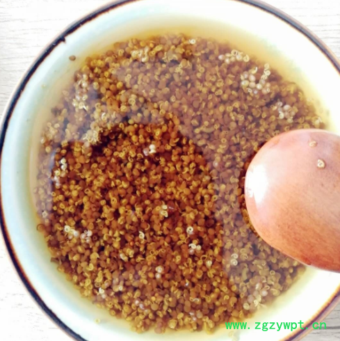 菟丝子 内蒙兔丝吐丝籽吐丝子 菟丝籽菟丝子