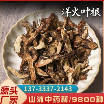 仙灵脾根 淫羊藿根 羊藿叶根 洋火叶根 洋火叶500克 中药材批发
