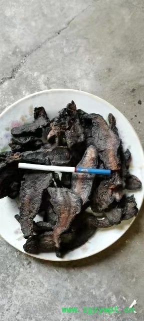 中药材批发生地 干地黄 生地黄 大货量大从优批发零售生地黄